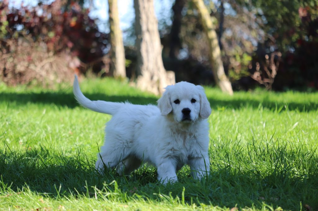 ils recherchent des familles